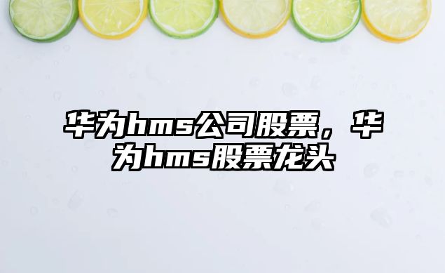 華為hms公司股票，華為hms股票龍頭