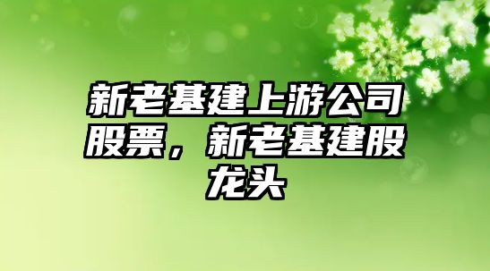 新老基建上游公司股票，新老基建股龍頭