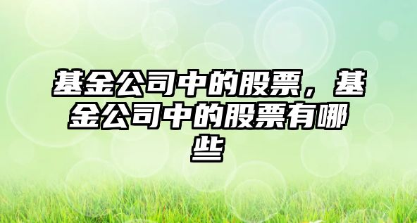 基金公司中的股票，基金公司中的股票有哪些