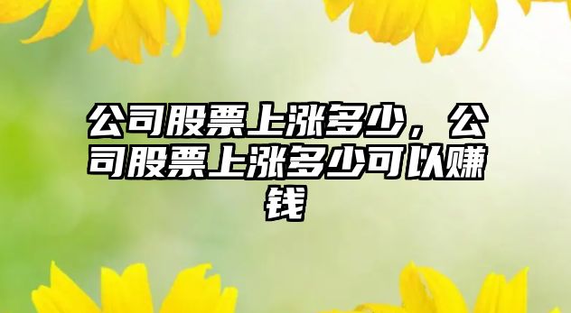 公司股票上漲多少，公司股票上漲多少可以賺錢(qián)