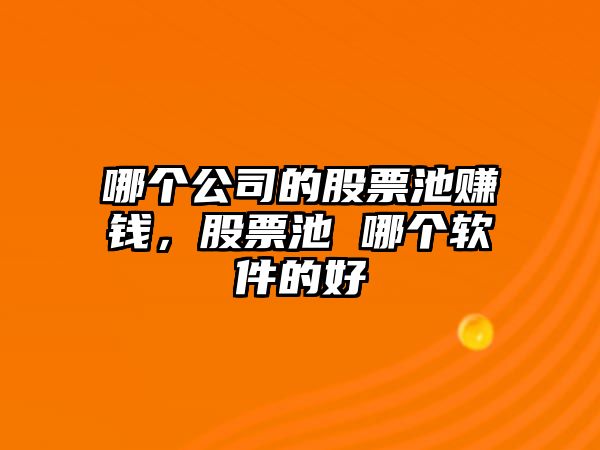 哪個(gè)公司的股票池賺錢(qián)，股票池 哪個(gè)軟件的好