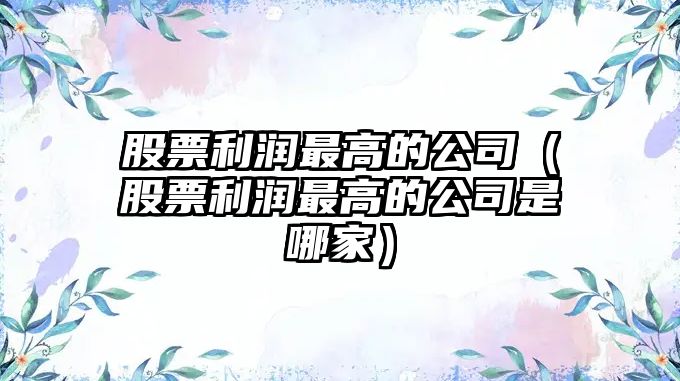 股票利潤最高的公司（股票利潤最高的公司是哪家）