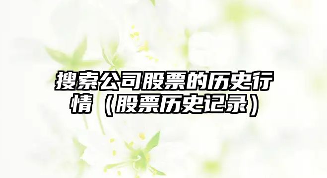 搜索公司股票的歷史行情（股票歷史記錄）