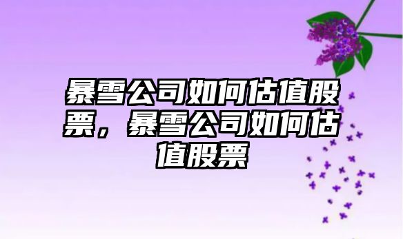 暴雪公司如何估值股票，暴雪公司如何估值股票