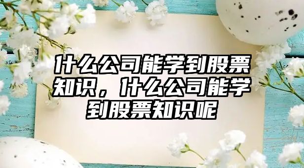 什么公司能學(xué)到股票知識，什么公司能學(xué)到股票知識呢