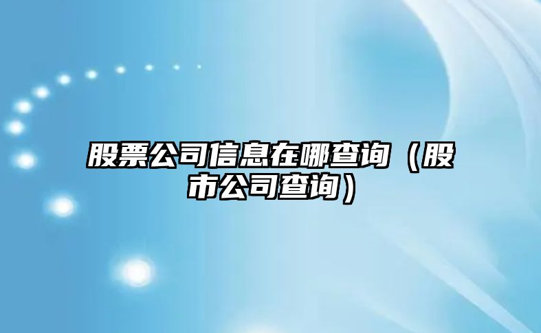 股票公司信息在哪查詢(xún)（股市公司查詢(xún)）