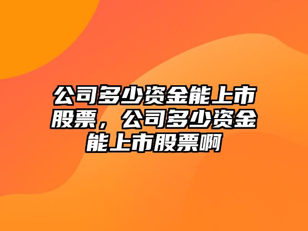 公司多少資金能上市股票，公司多少資金能上市股票啊