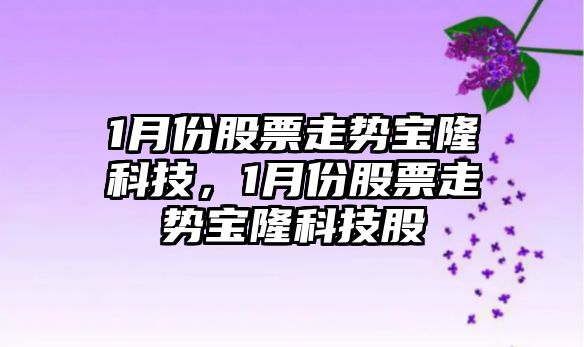 1月份股票走勢寶隆科技，1月份股票走勢寶隆科技股