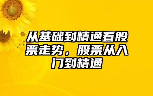 從基礎到精通看股票走勢，股票從入門(mén)到精通