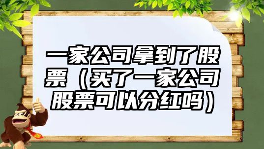 一家公司拿到了股票（買(mǎi)了一家公司股票可以分紅嗎）