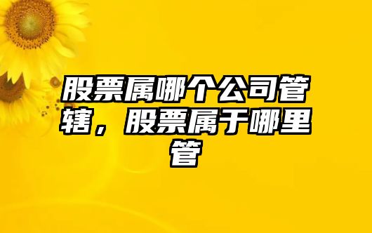 股票屬哪個(gè)公司管轄，股票屬于哪里管