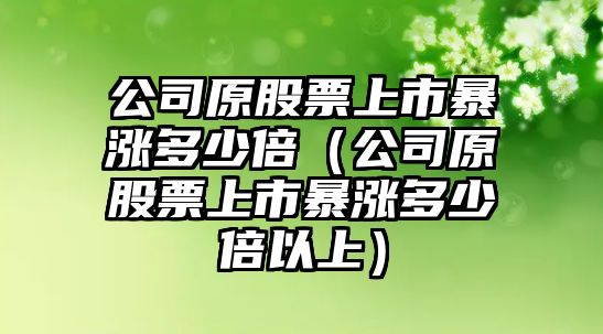 公司原股票上市暴漲多少倍（公司原股票上市暴漲多少倍以上）