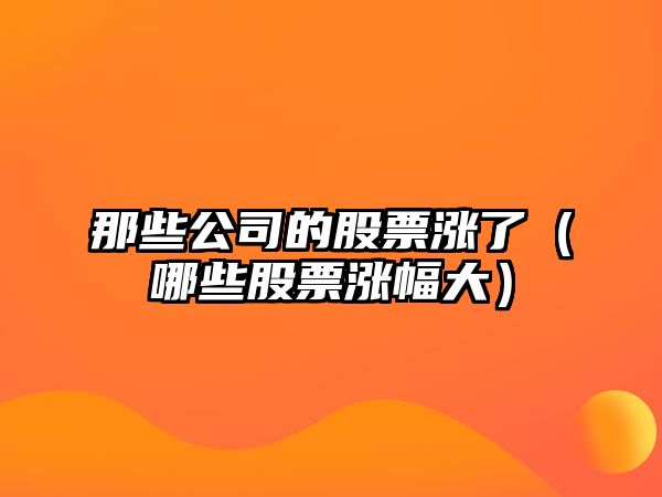 那些公司的股票漲了（哪些股票漲幅大）