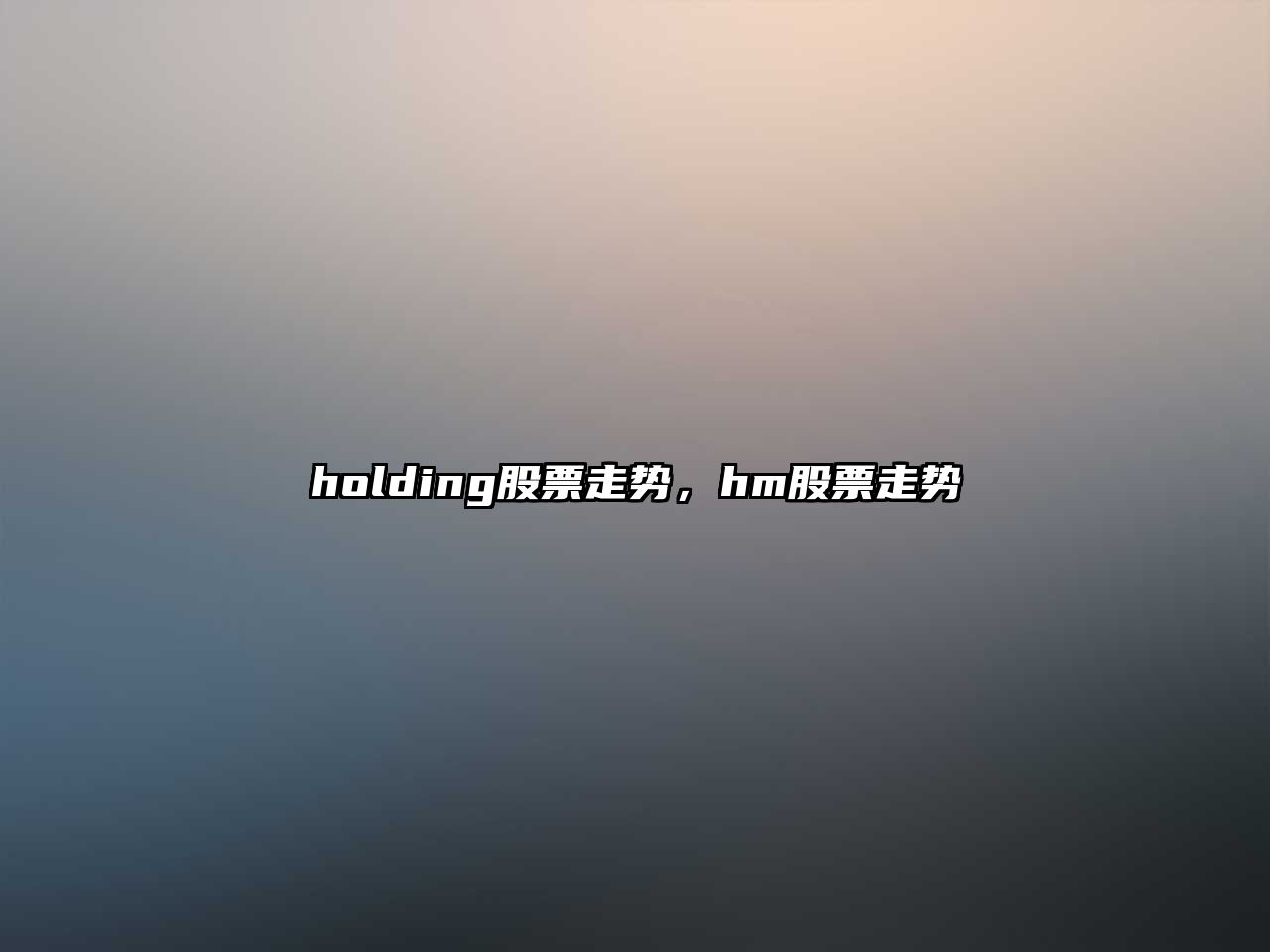 holding股票走勢，hm股票走勢