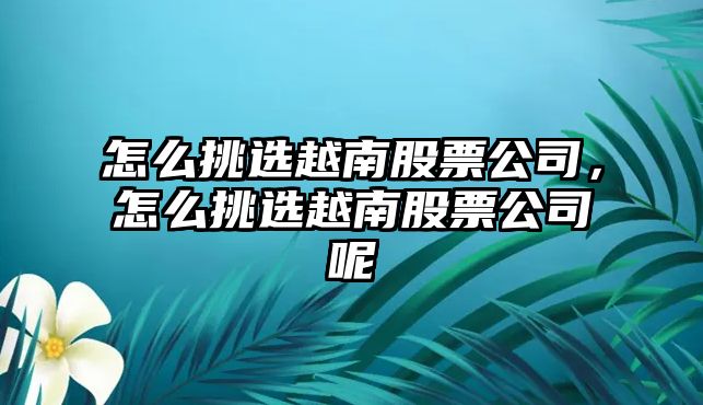 怎么挑選越南股票公司，怎么挑選越南股票公司呢