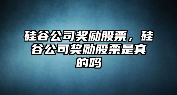 硅谷公司獎勵股票，硅谷公司獎勵股票是真的嗎