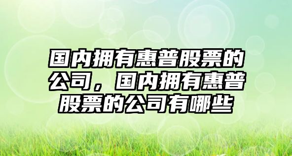 國內擁有惠普股票的公司，國內擁有惠普股票的公司有哪些