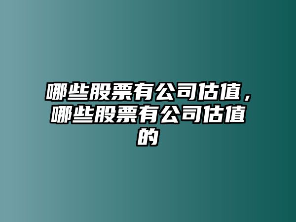 哪些股票有公司估值，哪些股票有公司估值的