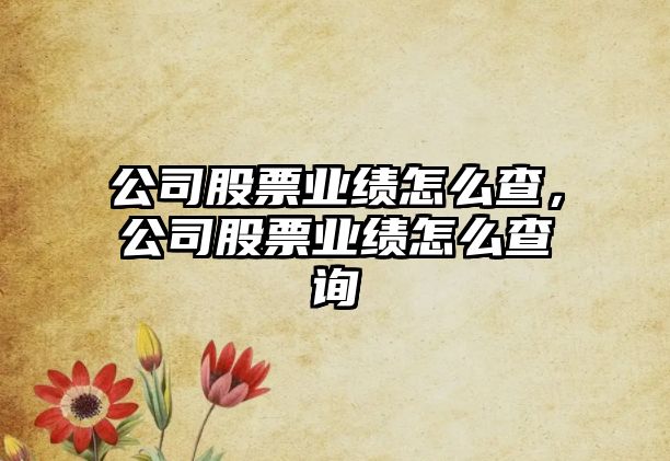 公司股票業(yè)績(jì)怎么查，公司股票業(yè)績(jì)怎么查詢(xún)