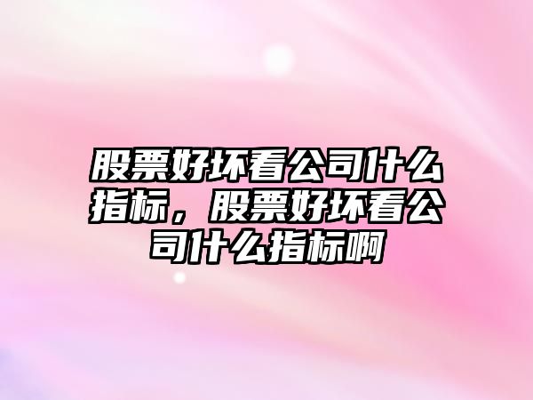 股票好壞看公司什么指標，股票好壞看公司什么指標啊