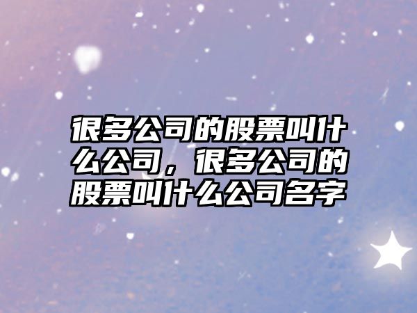 很多公司的股票叫什么公司，很多公司的股票叫什么公司名字