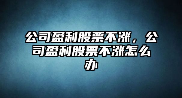 公司盈利股票不漲，公司盈利股票不漲怎么辦