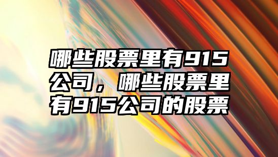 哪些股票里有915公司，哪些股票里有915公司的股票