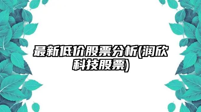 最新低價(jià)股票分析(潤欣科技股票)