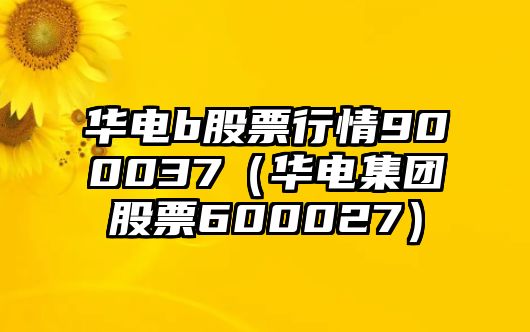 華電b股票行情900037（華電集團股票600027）