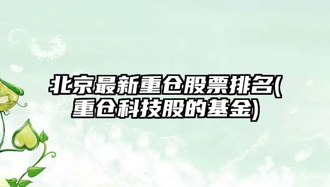 北京最新重倉股票排名(重倉科技股的基金)