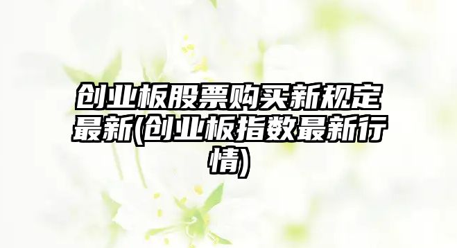 創(chuàng  )業(yè)板股票購買(mǎi)新規定最新(創(chuàng  )業(yè)板指數最新行情)