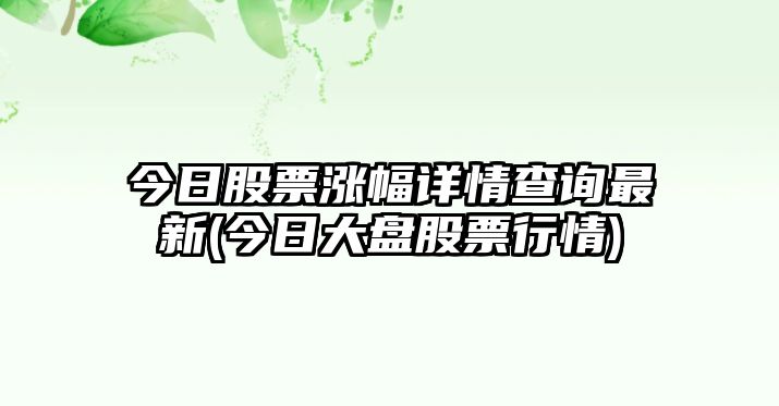 今日股票漲幅詳情查詢(xún)最新(今日大盤(pán)股票行情)