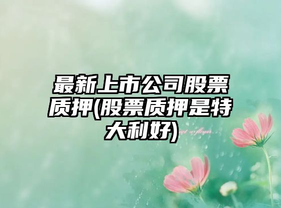 最新上市公司股票質(zhì)押(股票質(zhì)押是特大利好)