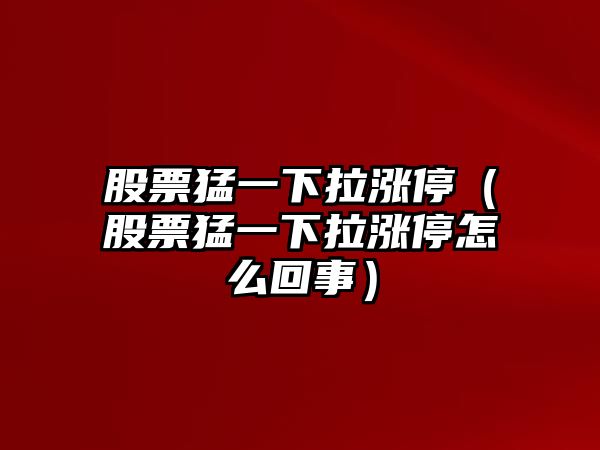 股票猛一下拉漲停（股票猛一下拉漲停怎么回事）