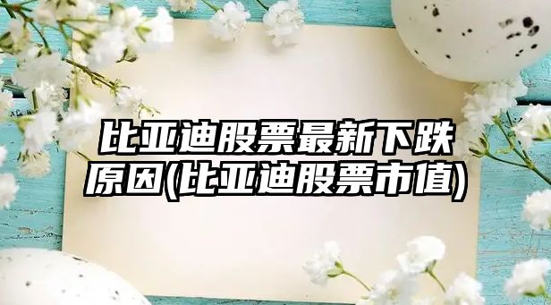 比亞迪股票最新下跌原因(比亞迪股票市值)