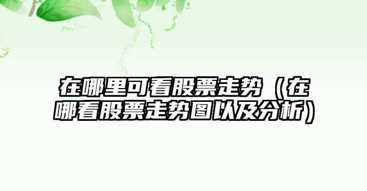 在哪里可看股票走勢（在哪看股票走勢圖以及分析）