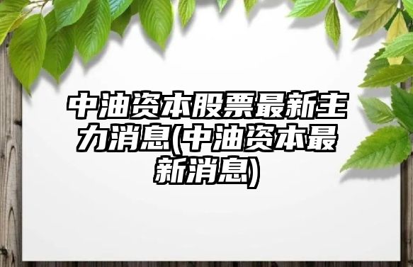 中油資本股票最新主力消息(中油資本最新消息)