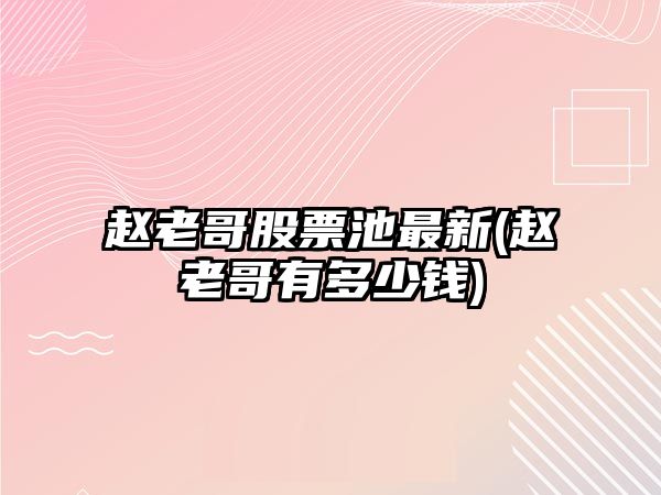 趙老哥股票池最新(趙老哥有多少錢(qián))