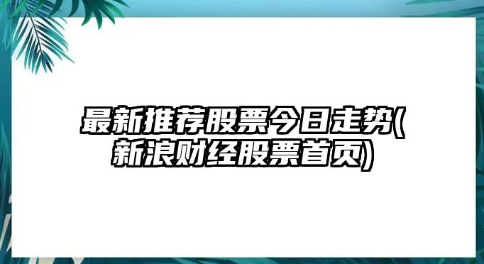 最新推薦股票今日走勢(新浪財經(jīng)股票首頁(yè))