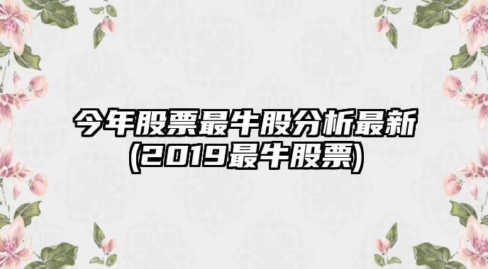 今年股票最牛股分析最新(2019最牛股票)