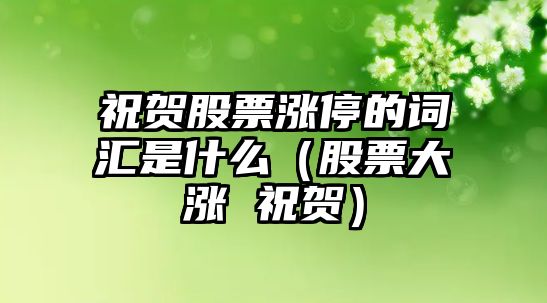 祝賀股票漲停的詞匯是什么（股票大漲 祝賀）