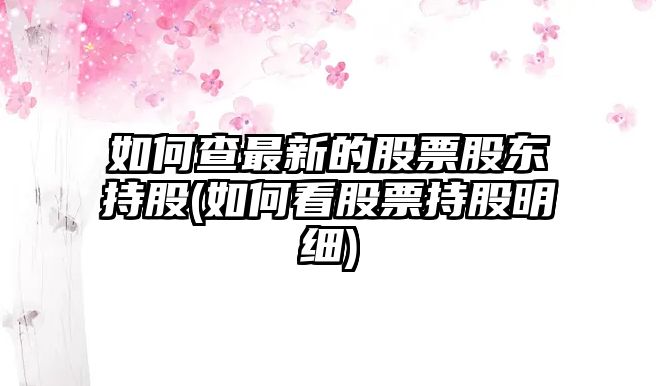 如何查最新的股票股東持股(如何看股票持股明細)