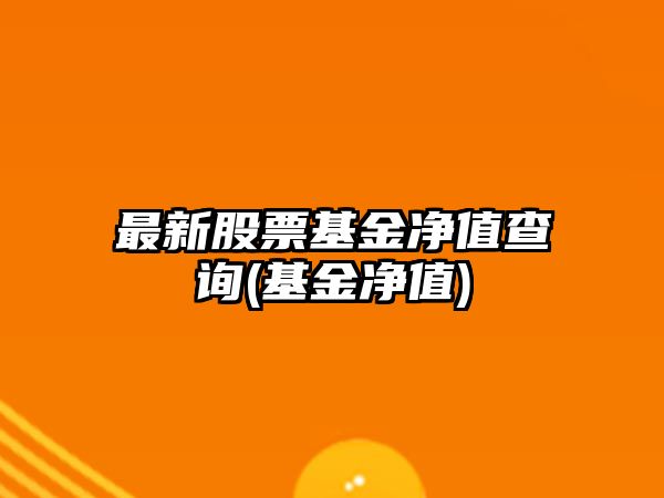 最新股票基金凈值查詢(xún)(基金凈值)