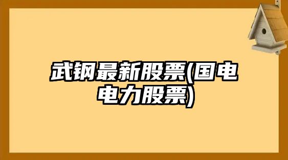 武鋼最新股票(國電電力股票)