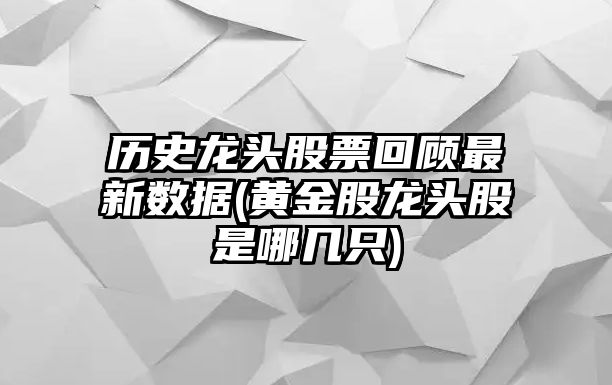 歷史龍頭股票回顧最新數據(黃金股龍頭股是哪幾只)