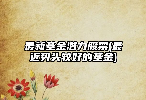 最新基金潛力股票(最近勢頭較好的基金)