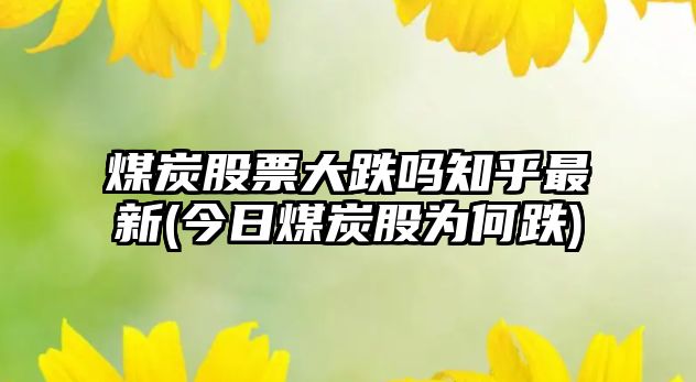 煤炭股票大跌嗎知乎最新(今日煤炭股為何跌)