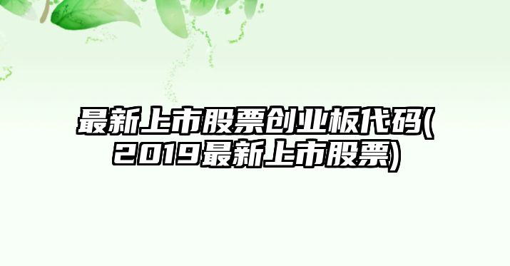 最新上市股票創(chuàng  )業(yè)板代碼(2019最新上市股票)