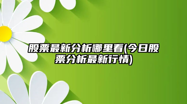 股票最新分析哪里看(今日股票分析最新行情)