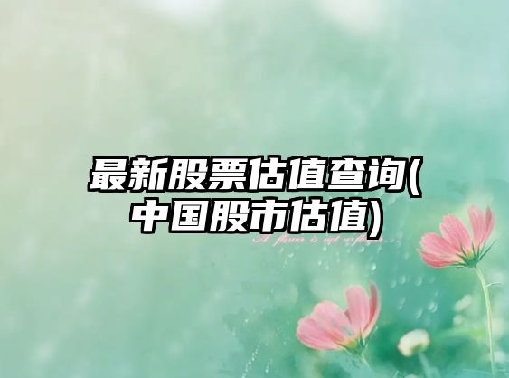 最新股票估值查詢(xún)(中國股市估值)